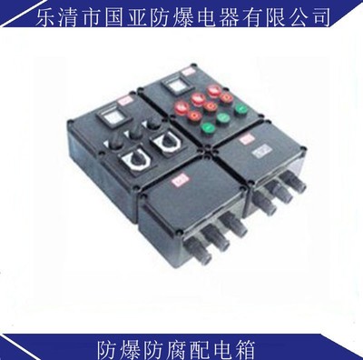 BXM(D)8050防爆防腐照明（動(dòng)力）配電箱 專業(yè)定制與全方位解析